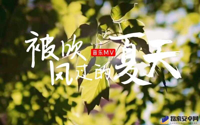 免费看 mv 大片的 app：畅享海量精彩音乐视频资源的绝佳平台