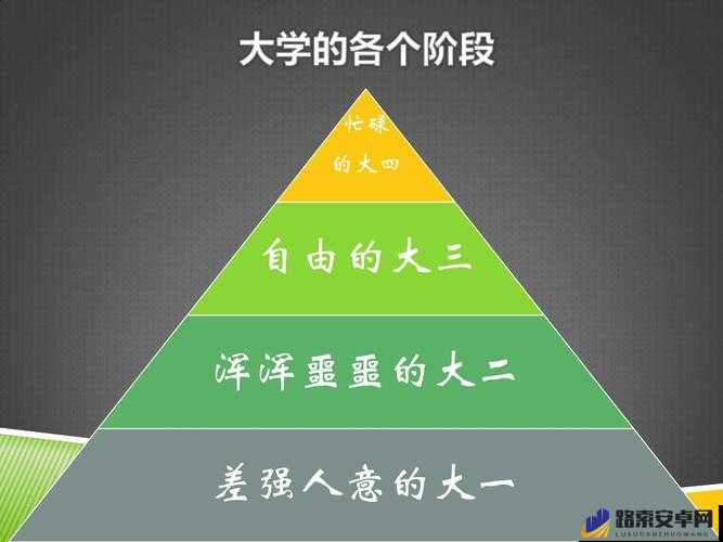 日本大一大二大三连读是一种怎样的体验？